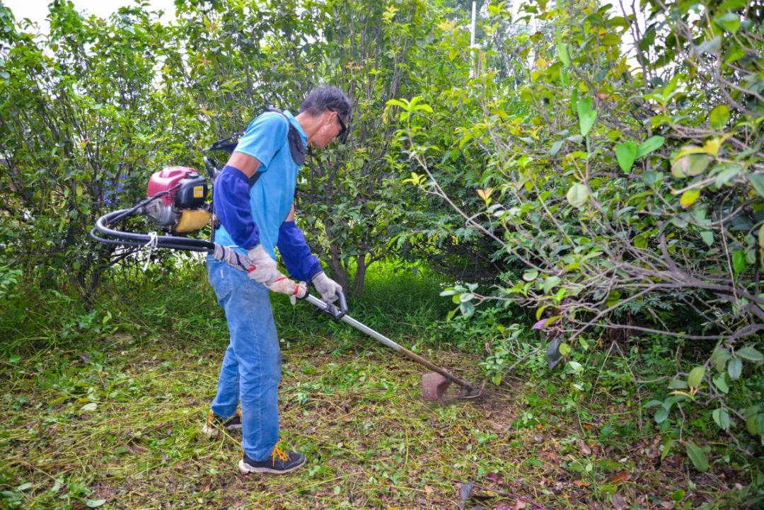 總務(wù)處--綠化組 (5)(1).jpg 圖片